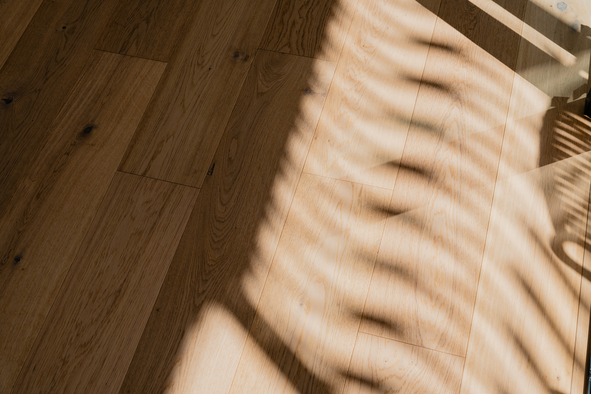 5PointProjects_Adagio_64